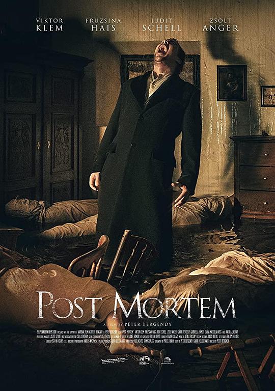  身后事[无字片源].Post.Mortem.2022.1080p.SHO.WEB-DL.DD.5.1.H.264-DreamHD 3.87GB- 