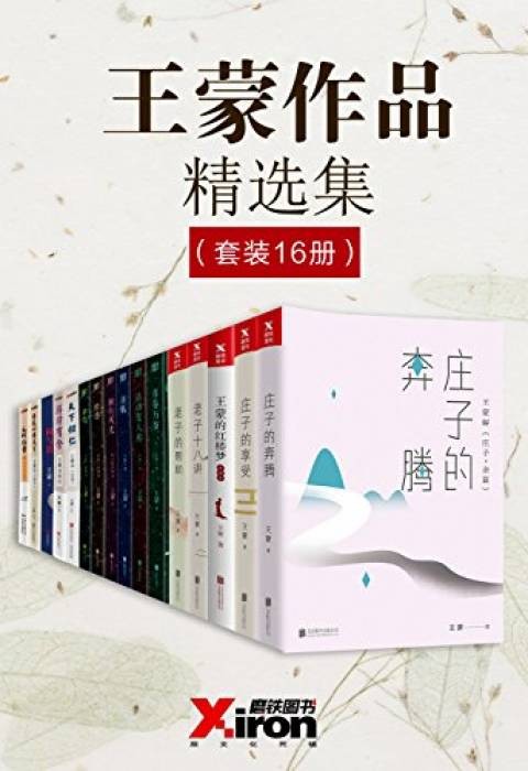 《王蒙作品精选集》（套装共16本）