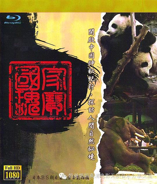  [BT下载][中国神秘纪行][第01-12集][BD-MKV/49.04G][中文字幕][1080P][蓝光压制][BlackTV] 